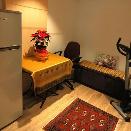 Large Studio For Two On Hiking Trail And Slope