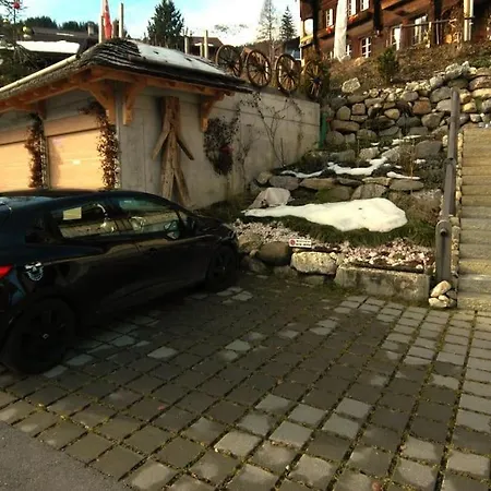Large Studio For Two On Hiking Trail And Slope *